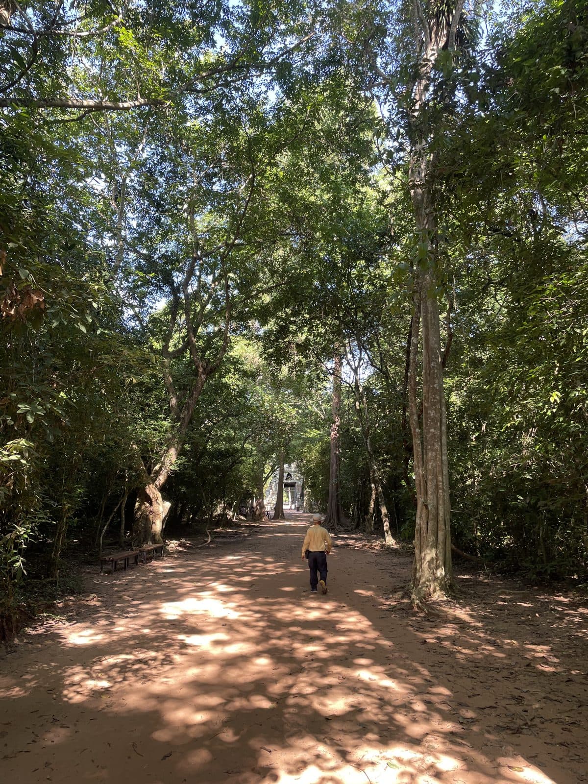 A shaded dirt path through tall trees leading toward a temple gate at Angkor Thom